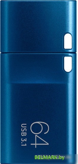 USB Flash Samsung USB-C 3.1 2022 64GB (синий) - фото