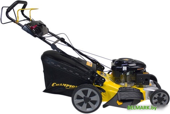 Колёсная газонокосилка Champion LM5347 - фото2