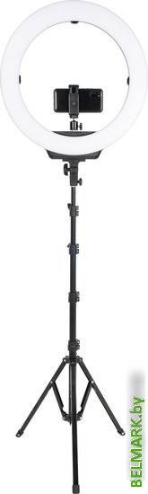 Кольцевая лампа Falcon Eyes BeautyLight 480LS LED - фото