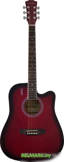 Акустическая гитара Elitaro E4120 RDS - фото