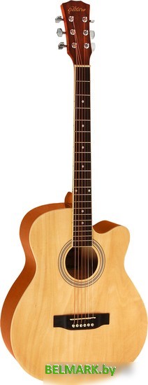 Акустическая гитара Elitaro E4010 N - фото