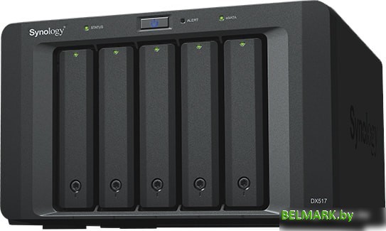 Сетевой накопитель Synology Expansion Unit DX517 - фото