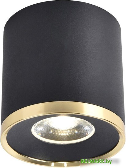 Подвесная люстра Favourite 3099-1P - фото