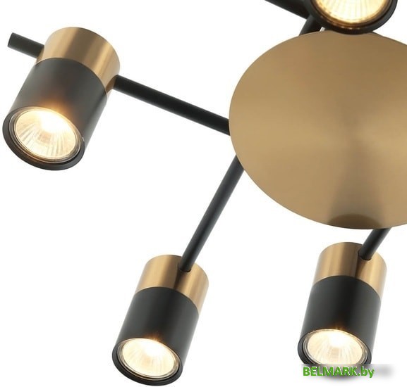 Припотолочная люстра Favourite Topper 2825-8P - фото2