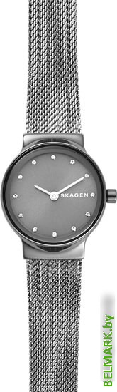 Наручные часы Skagen SKW2700 - фото