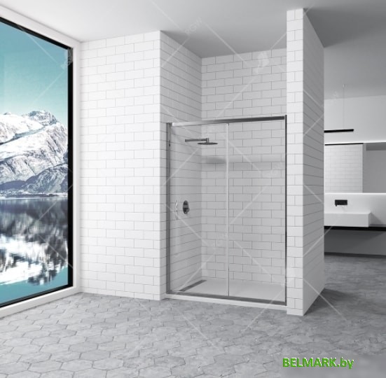 Душевая дверь RGW PA-016 170 (хром/прозрачное стекло) - фото