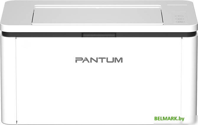 Принтер Pantum BP2300W - фото