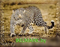 Картина Декарт 8Л0469 - фото