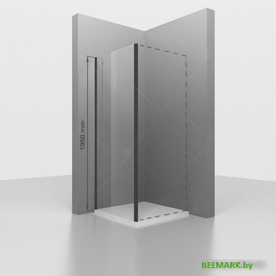 Душевая стенка RGW Z-050-2B 352205212-14 120 (черный/прозрачное стекло) - фото