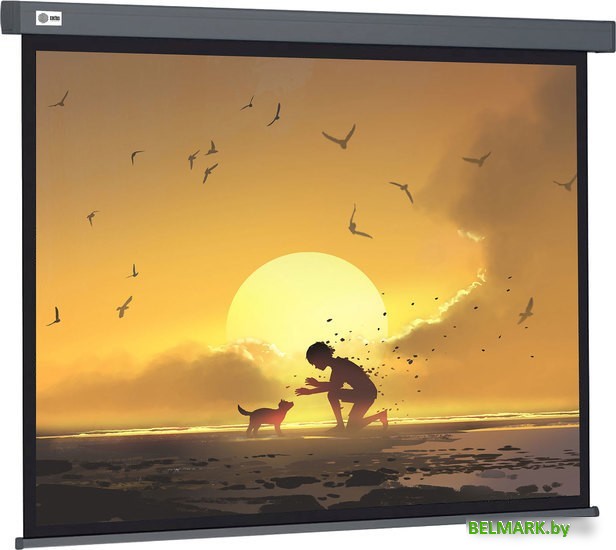 Проекционный экран CACTUS Wallscreen 124x221 CS-PSW-124X221-SG - фото