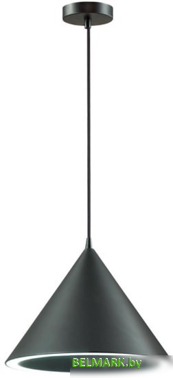 Подвесная люстра Lumion Lenny 3724/24L - фото