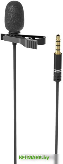 Микрофон Ritmix RCM-110 - фото2