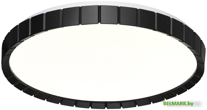 Припотолочная люстра Sonex Pale 7649/EL - фото