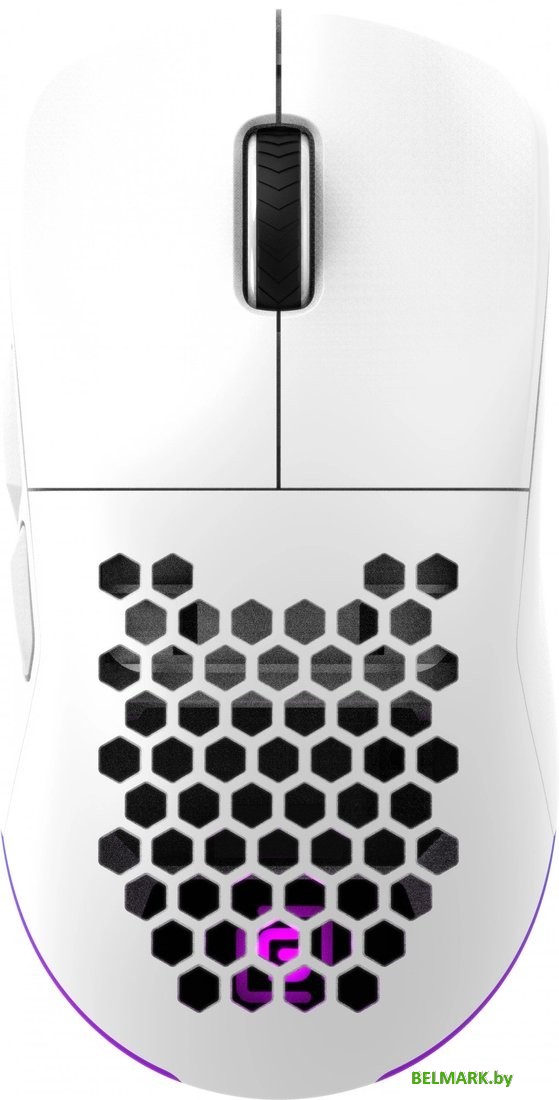 Игровая мышь Oklick 900GMW (белый) - фото