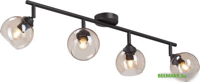 Люстра средней высоты Vitaluce V43130-13/4PL - фото