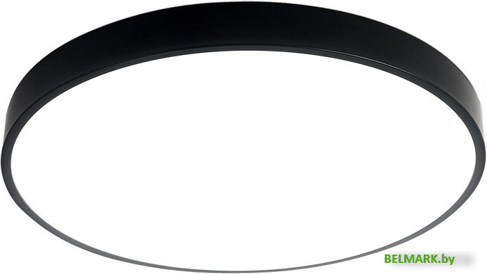 Светильник-тарелка Ambrella 00-00008131 FZ1207 (черный) - фото2