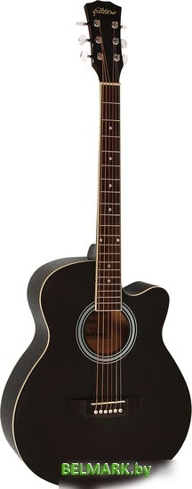 Акустическая гитара Elitaro E4010 BK - фото