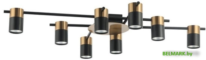 Припотолочная люстра Favourite Topper 2825-8P - фото