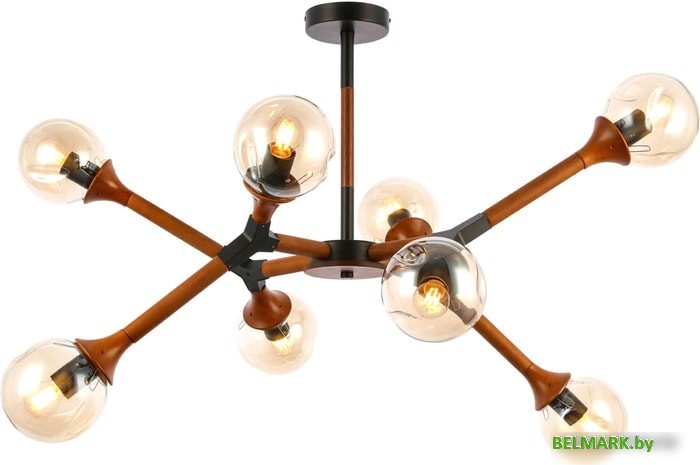 Люстра средней высоты Evoluce Raquel SLE109402-08 - фото2