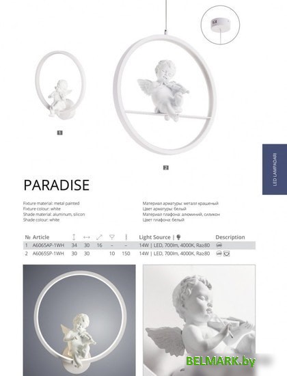 Подвесная люстра Arte Lamp Paradise A6065SP-1WH - фото2