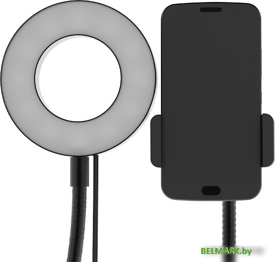 Кольцевая лампа Ritmix RRL-091 - фото2