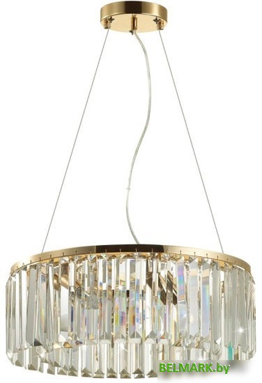 Подвесная люстра Odeon Light Vassa 4987/6 - фото