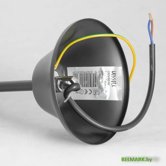 Подвесная люстра Lussole Lgo Lattice GRLSP-8216 - фото2