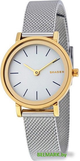 Наручные часы Skagen SKW2445 - фото2