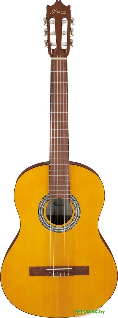Акустическая гитара Ibanez GA3 OAM - фото