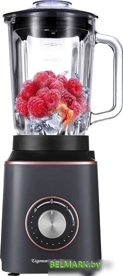 Стационарный блендер Zigmund & Shtain BS-442D - фото2