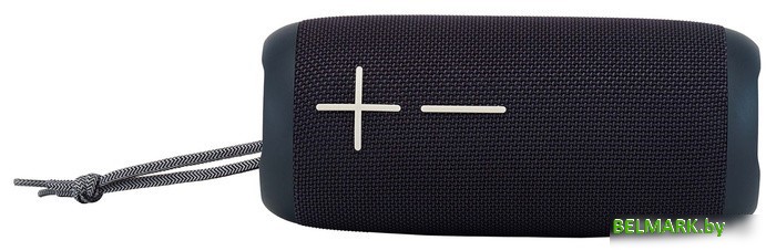 Беспроводная колонка Hyundai H-PAC610 - фото2