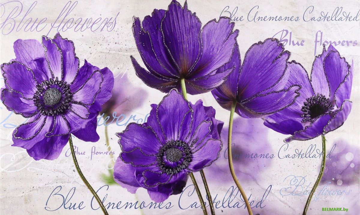 Картина Декарт 8Л3114 - фото