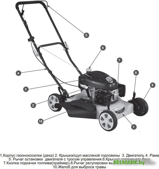 Колёсная газонокосилка Champion LM5127 - фото2