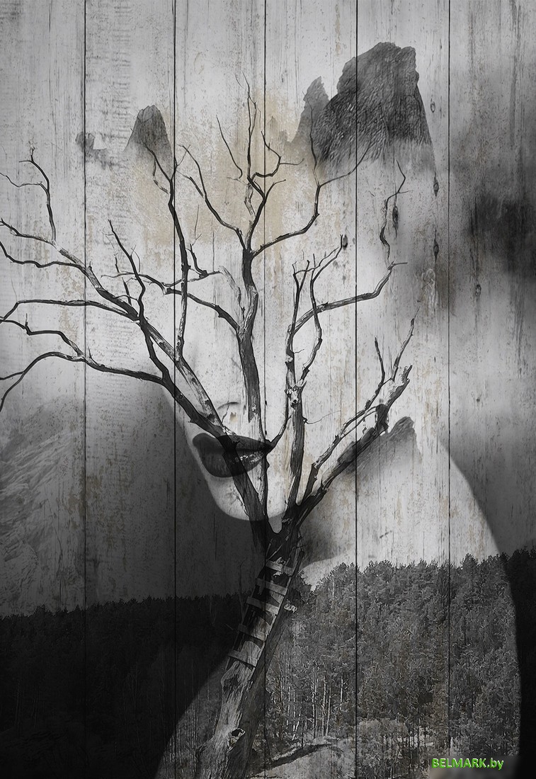 Картина White Wood B112-V-096-160-6.54 - фото