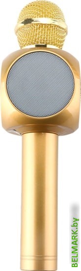 Микрофон Wster WS-1816 (золотистый) - фото2