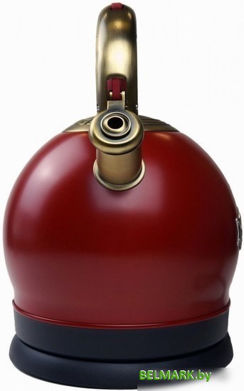 Электрочайник Kaiser WK 2000 RotEm - фото2