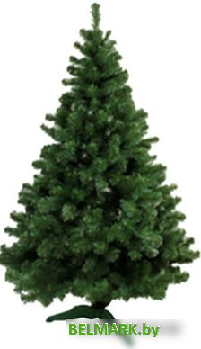 Ель Morozco Клеопатра 1.5 м - фото