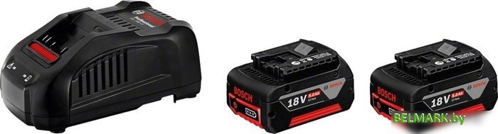 Аккумулятор с зарядным устройством Bosch 1600A00B8J (18В/5 а*ч + 14.4-18В) - фото