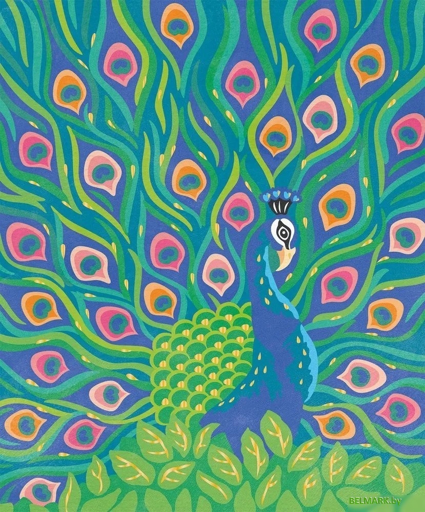 Janod Hachette Удивительные птицы J07986 - фото2