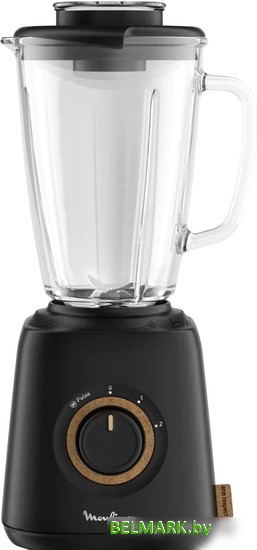 Стационарный блендер Moulinex Eco Respect LM46EN10 - фото
