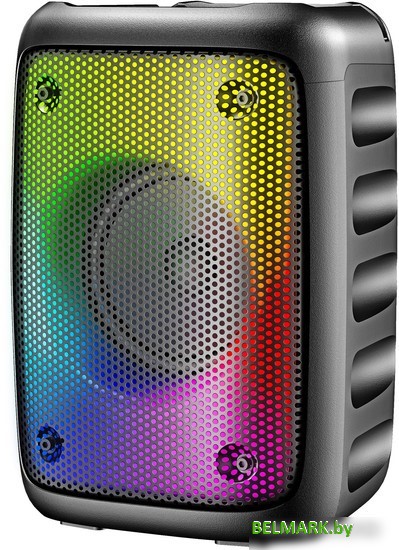 Беспроводная колонка Hyundai H-PS1006 - фото2