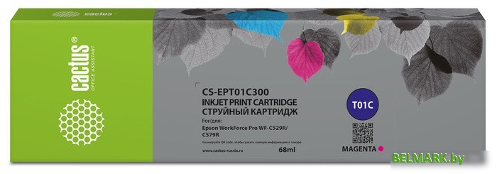 Картридж CACTUS CS-EPT01C300 (аналог Epson T01C3) - фото