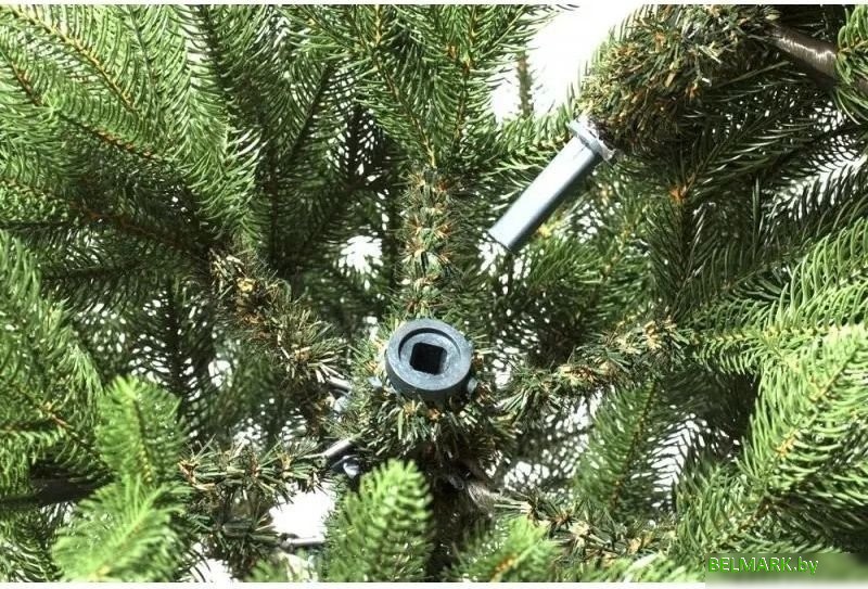 Ель National Tree Company Графская премиум ГРАФ/ПР-210 2.1 м - фото2