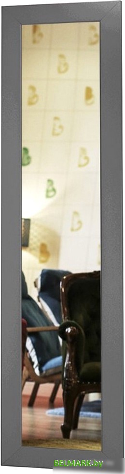 Зеркало Мебелик BeautyStyle 9 (серый графит) - фото