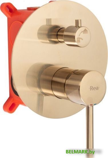 Душевая система Rea Lungo Matt Gold REA-P6609 - фото2