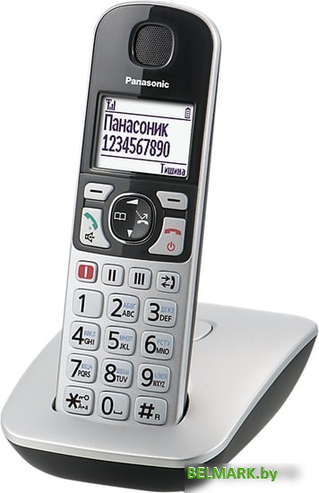 Радиотелефон Panasonic KX-TGE510RUS - фото