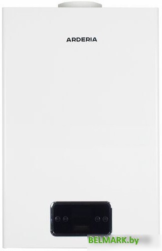 Отопительный котел Arderia D24 Atmo v3 - фото