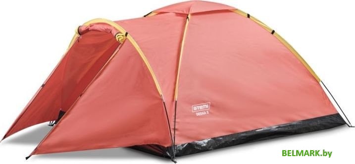 Кемпинговая палатка Atemi Desna 3S - фото