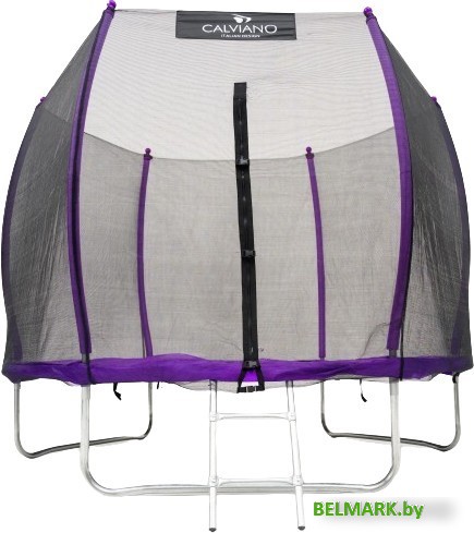 Батут Calviano Outside Master Purple 312 см - 10ft (внешняя сетка, с лестницей) - фото