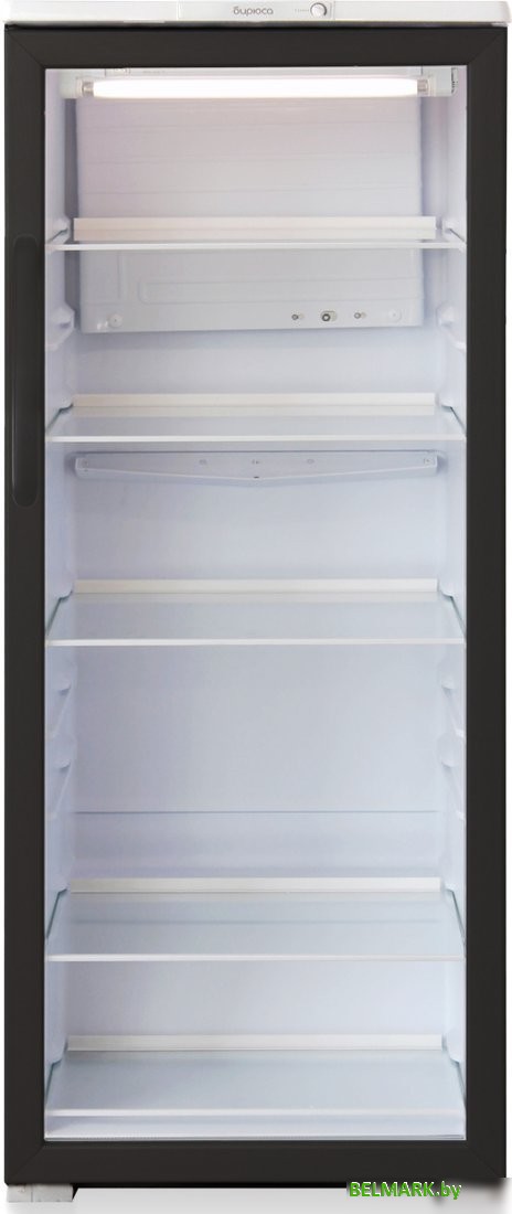 Торговый холодильник Бирюса B290 - фото